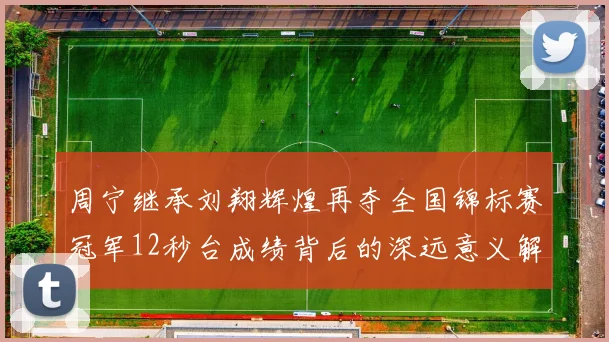周宁继承刘翔辉煌再夺全国锦标赛冠军12秒台成绩背后的深远意义解析