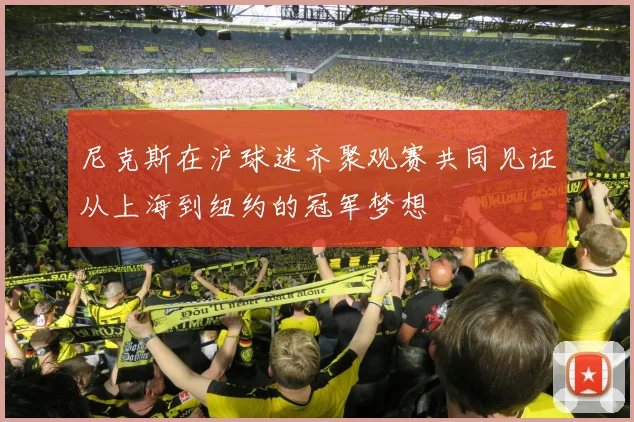 尼克斯在沪球迷齐聚观赛共同见证从上海到纽约的冠军梦想